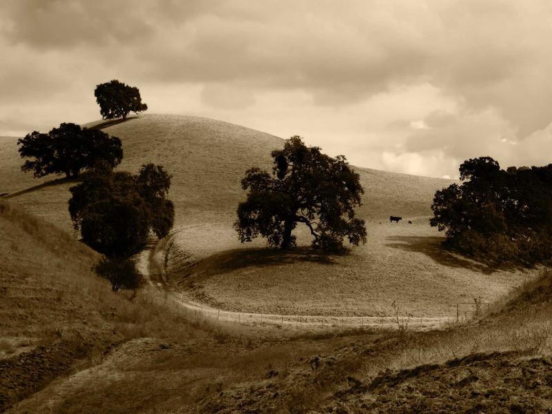 sudoku smart highlighting screenshot 3