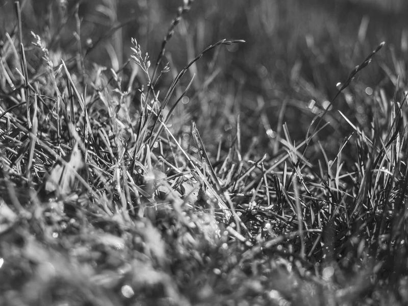 sudoku grid completion screenshot 6